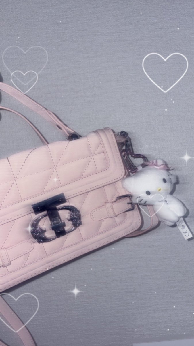 enzerupaimoon's tweet photo. SHEINで買ったバッグ
あまりにも可愛すぎじゃない？？ https://t.co/zL8f6jmJFc