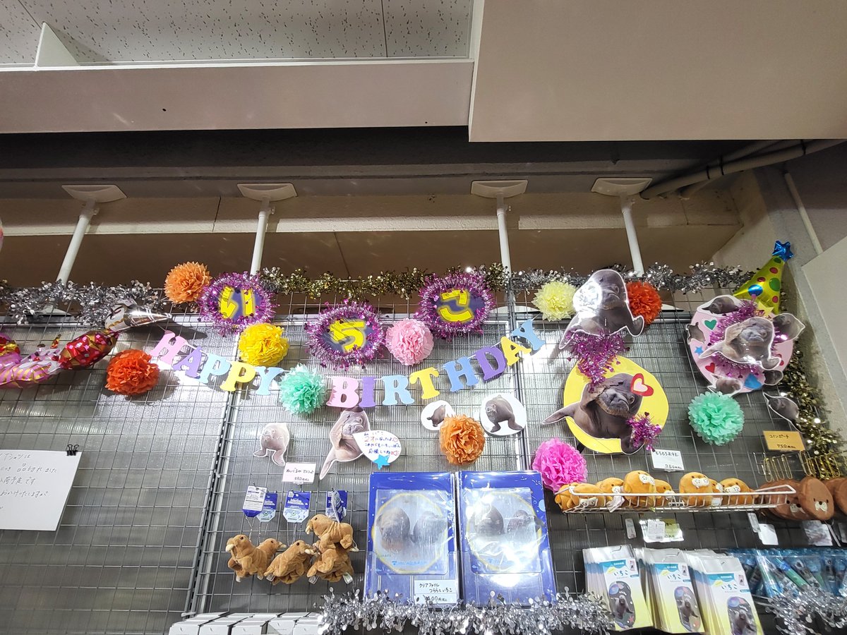 とばちゃん tweet media