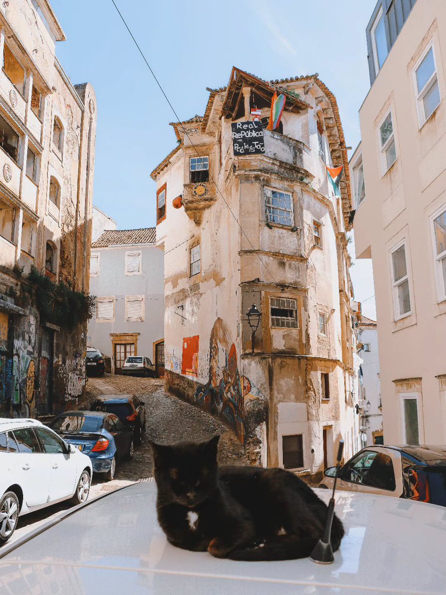 📍Coimbra, Portugal 🇵🇹

IG📸 : goncalo_saraiva 27