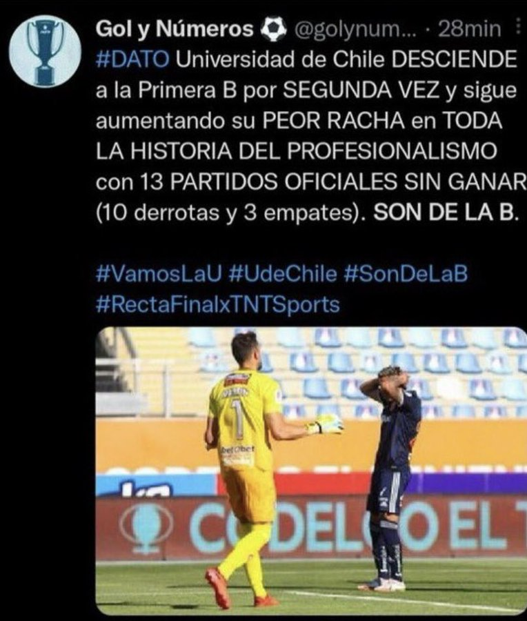 Dajestrix tweet media