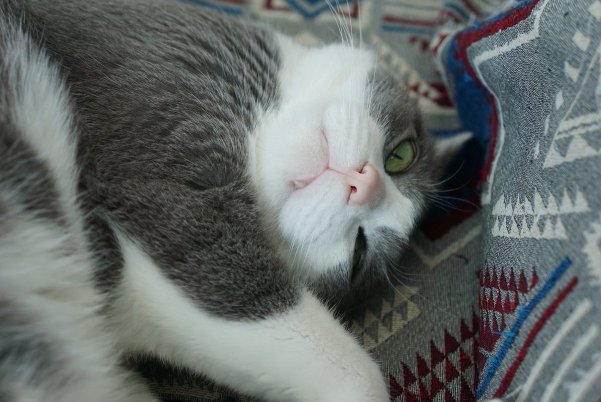 ひろ♪@禁酒中 tweet media