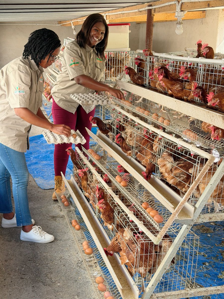 agribusiness1. tweet media