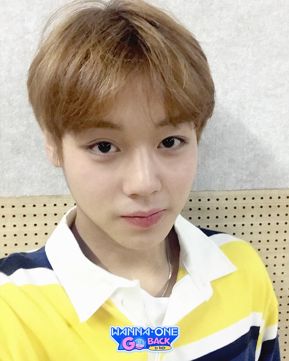 Mnet Plus Original tweet media