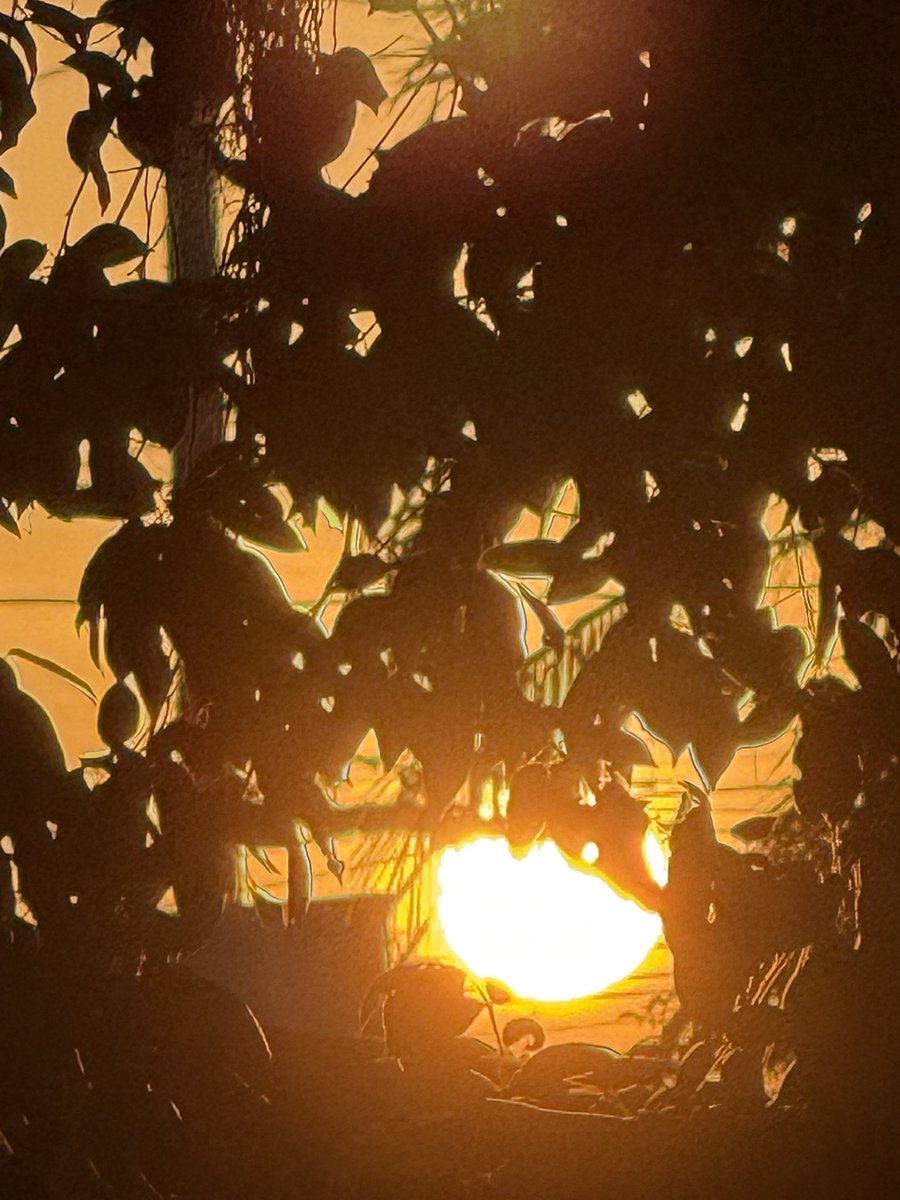 wedwo ( ꈍ◡ꈍ) tweet media