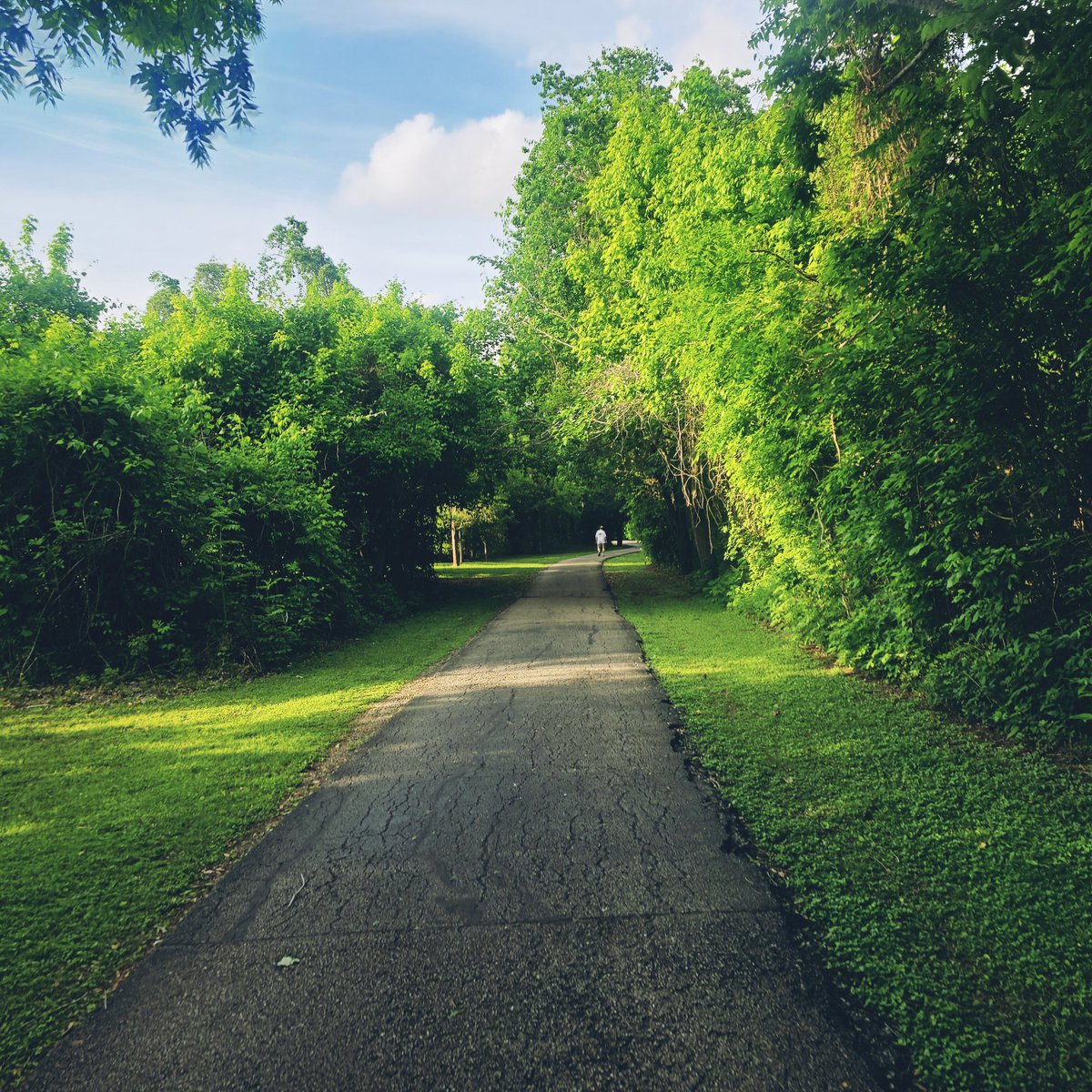 നന്ദിനി tweet media