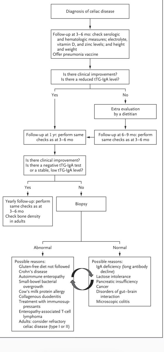 SaqibWalayat's tweet photo. Excellent algorithm for diagnosis and management of celiac disease @NEJM #GITwitter
https://t.co/38vzv4X3PT https://t.co/zzuSwAcaML