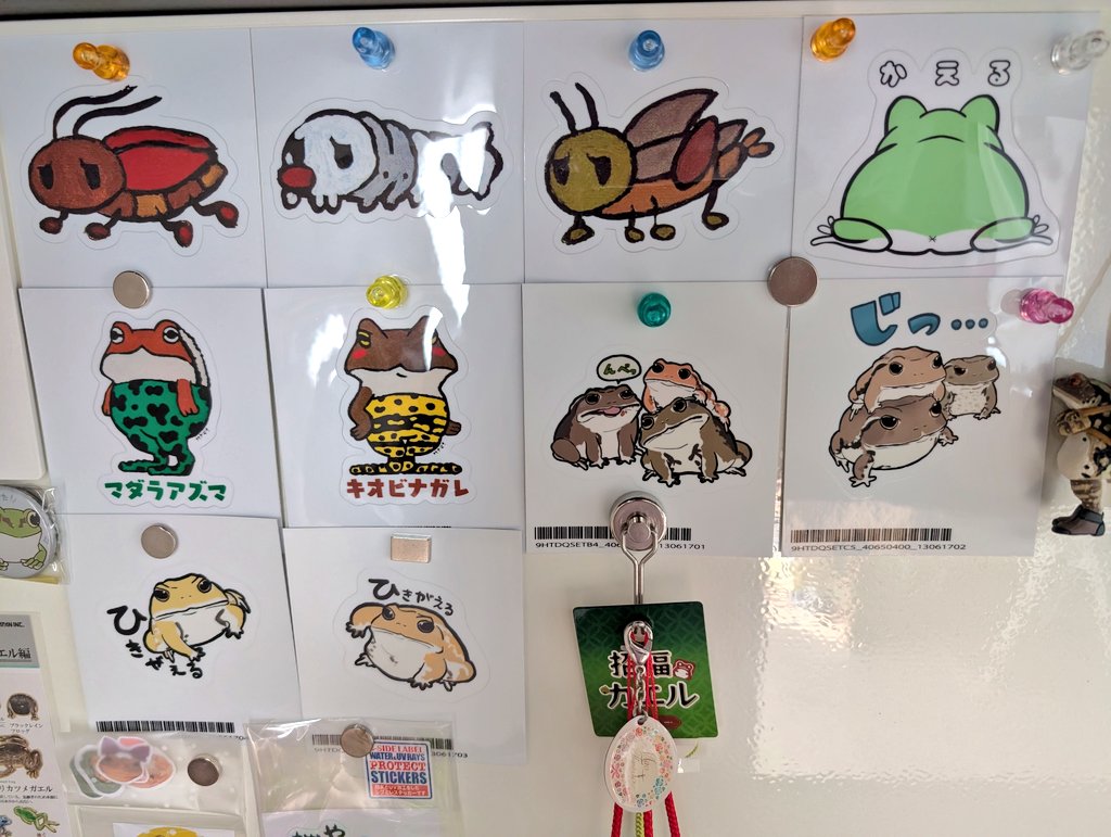 ケロミ🔰アマガエル（飼い主はクロミ） tweet media