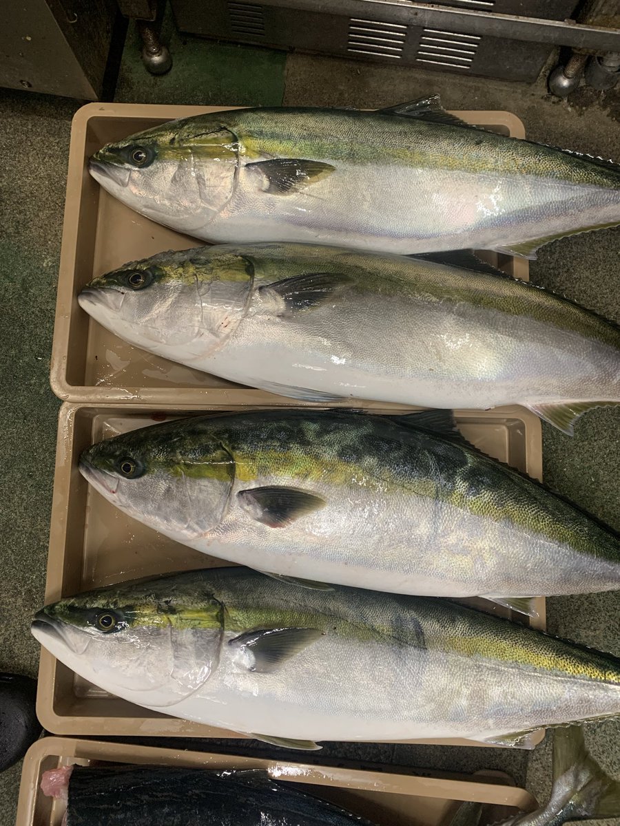 自然派ラーメン神楽 tweet media