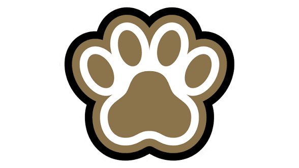 MalachiCoelho's tweet photo. After an amazing phone call today with @CoachFresilli I’m excited to announce I’ve been offered my first division 1 offer to Bryant University @CoachKKulzer @Coach_McKaig @BryantUniv @BryantUFootball #DOGS https://t.co/f0GIPOP7cB