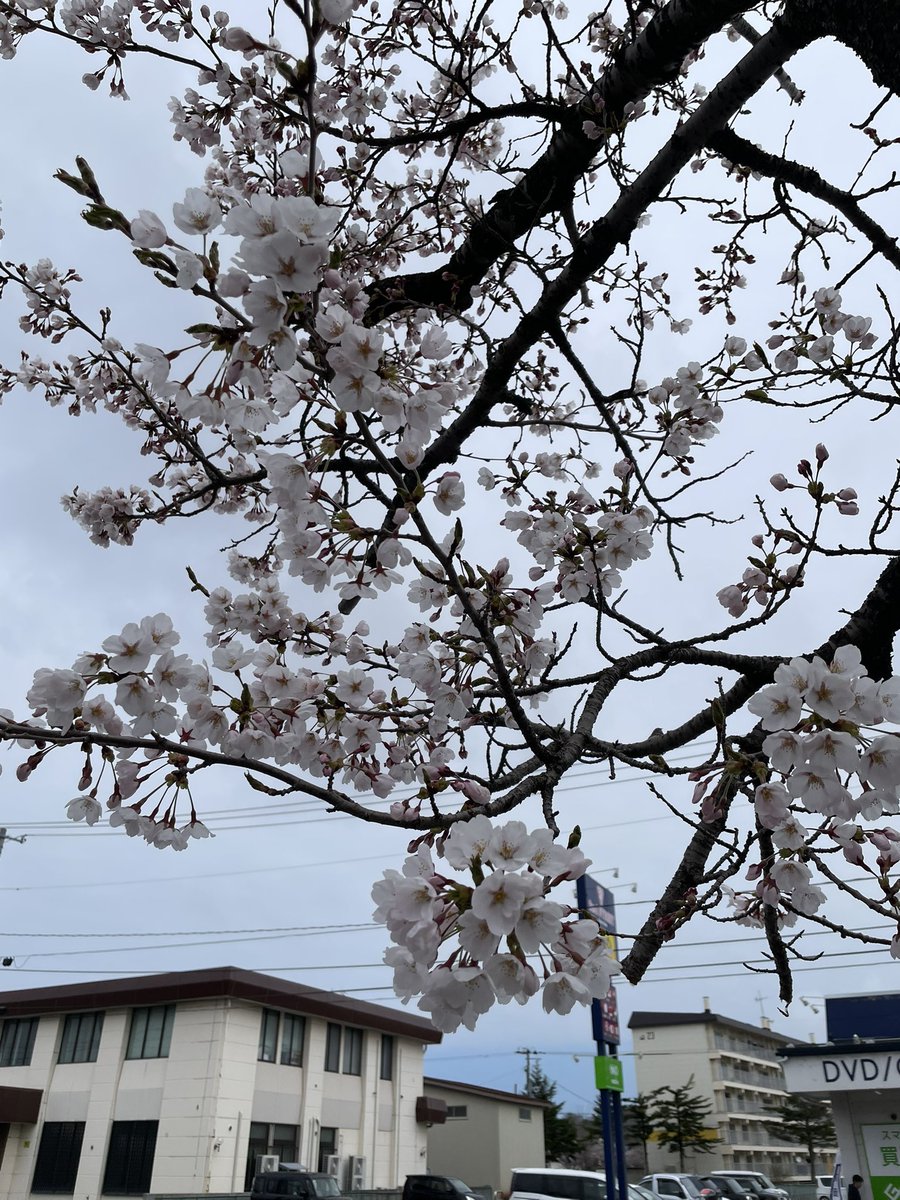 麺 晴天 tweet media