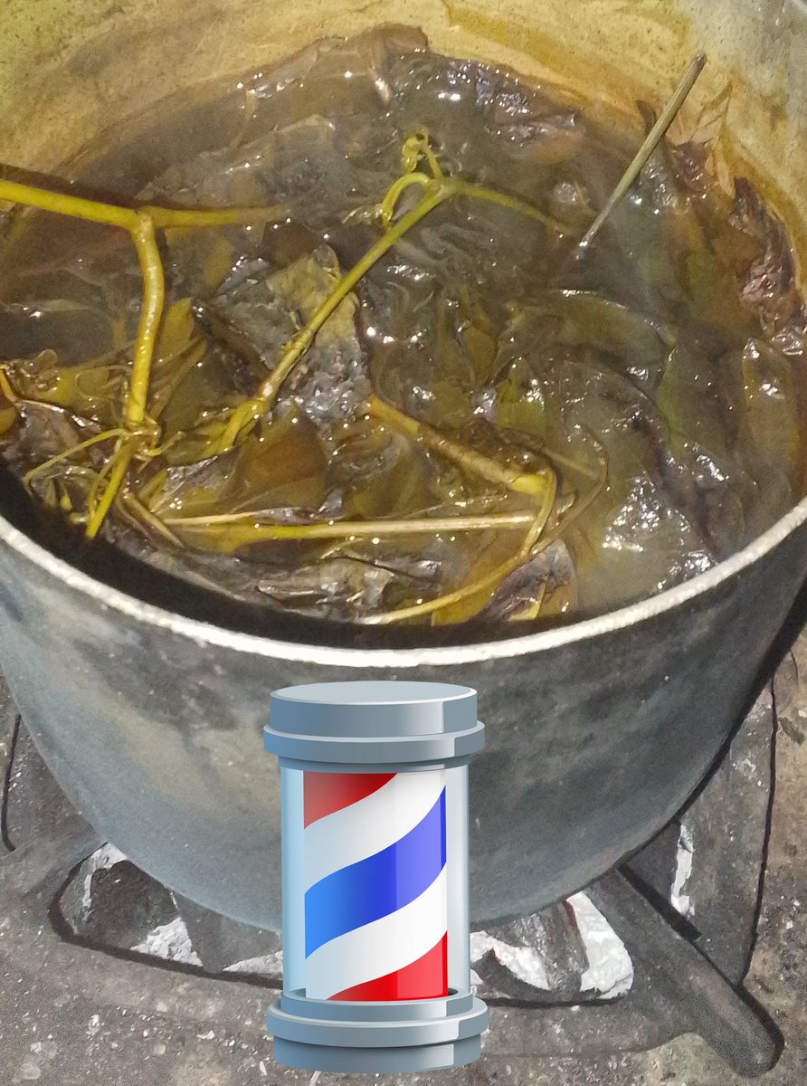 Varon Wolf tweet media