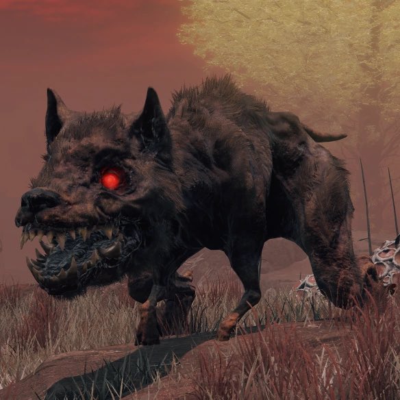 Kiera Please tweet media