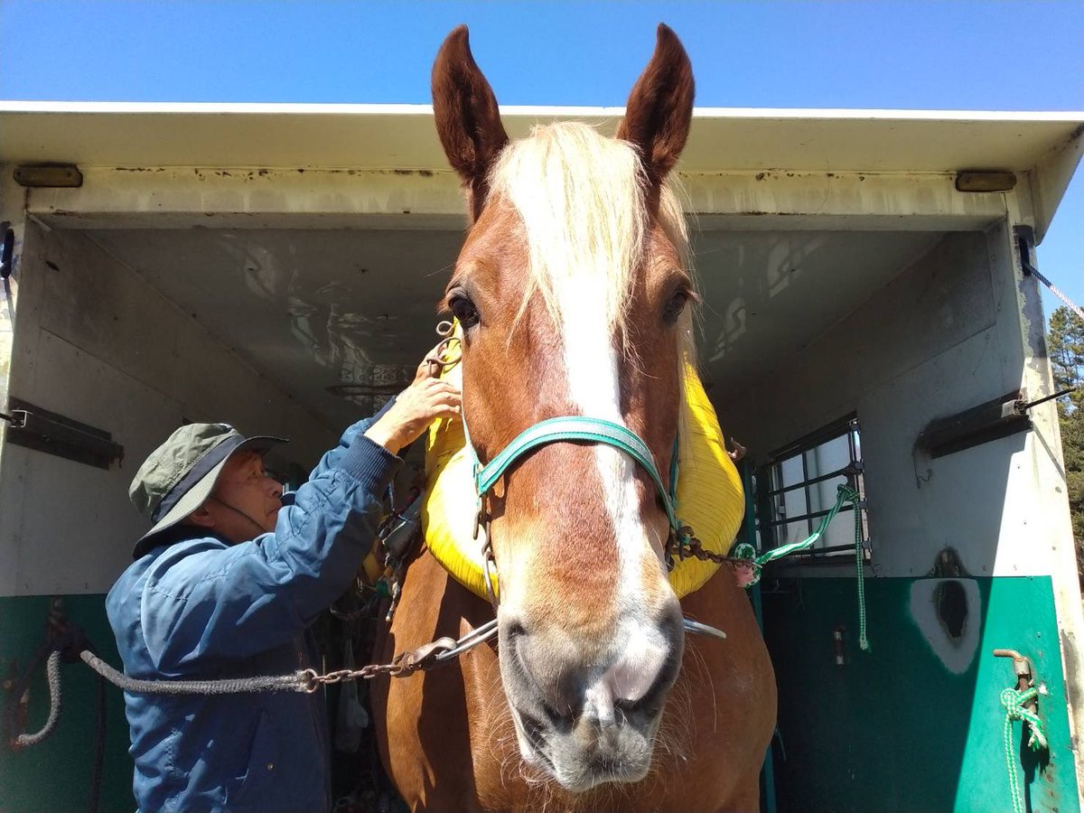 榛名湖遊覧馬車 tweet media