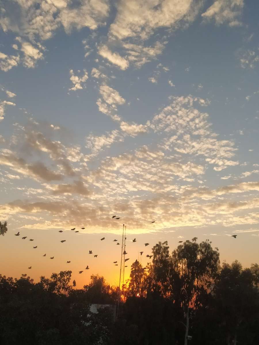 Ｓｕｎｉｌ tweet media