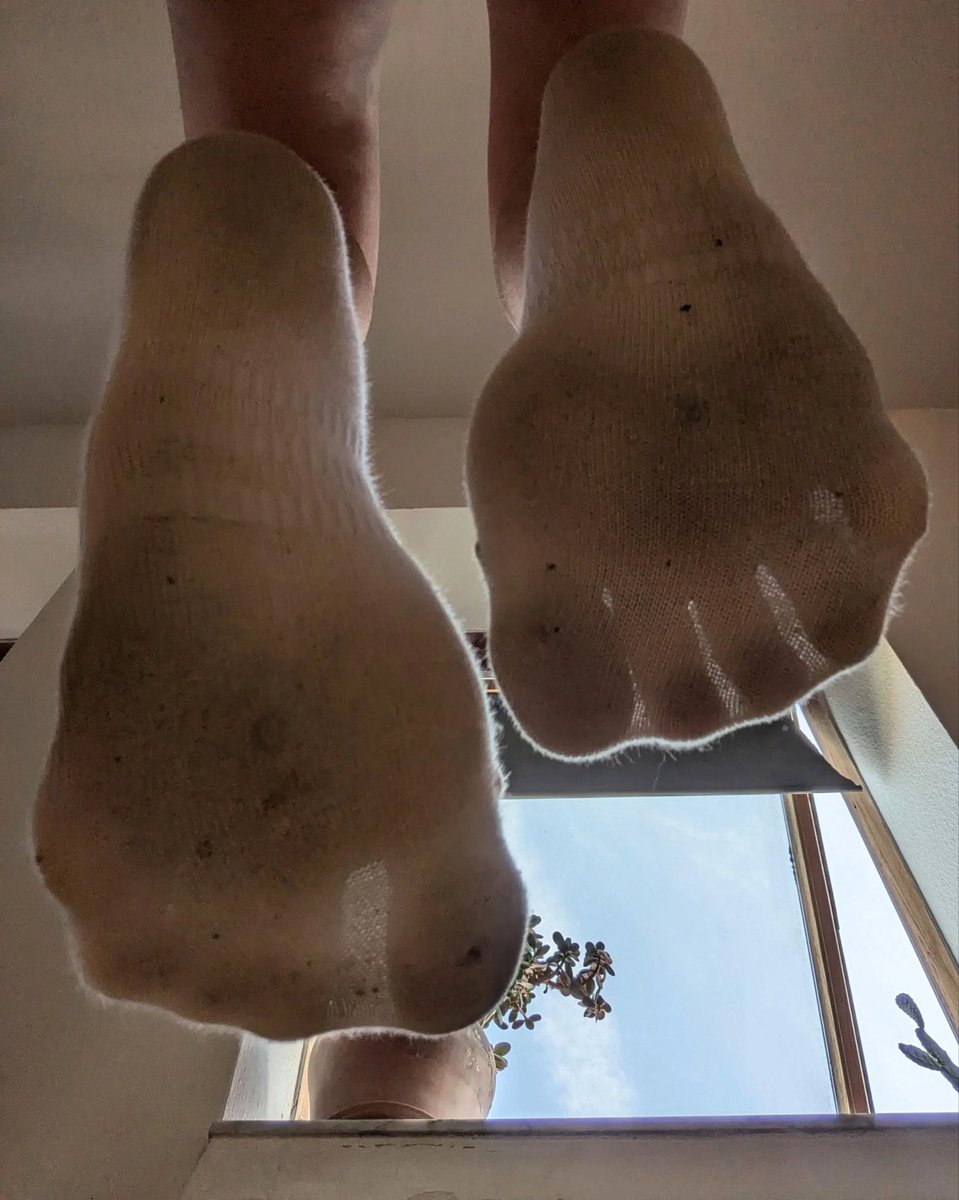 Bogini Martyna tweet media