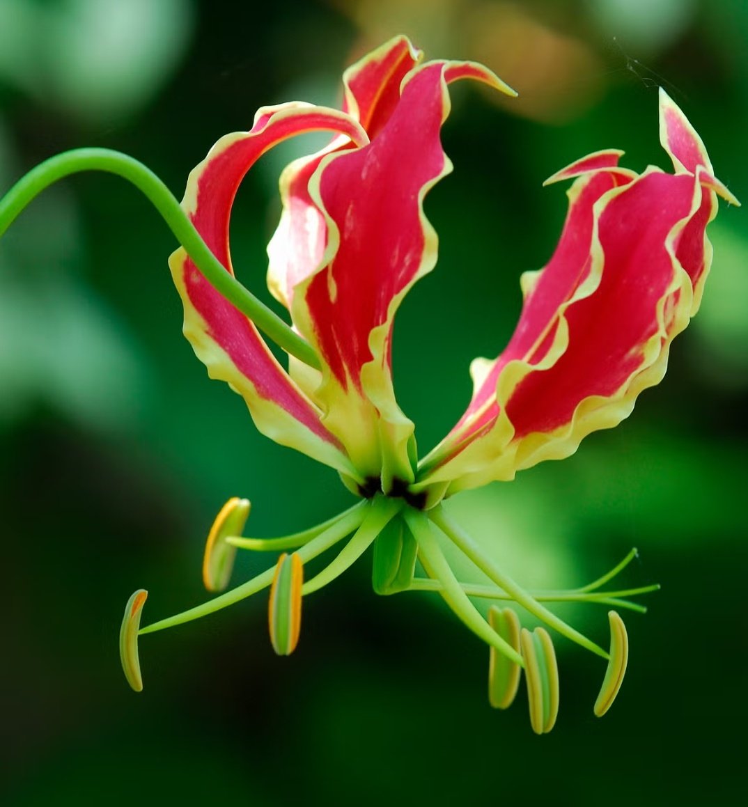 jaisrihari tweet media