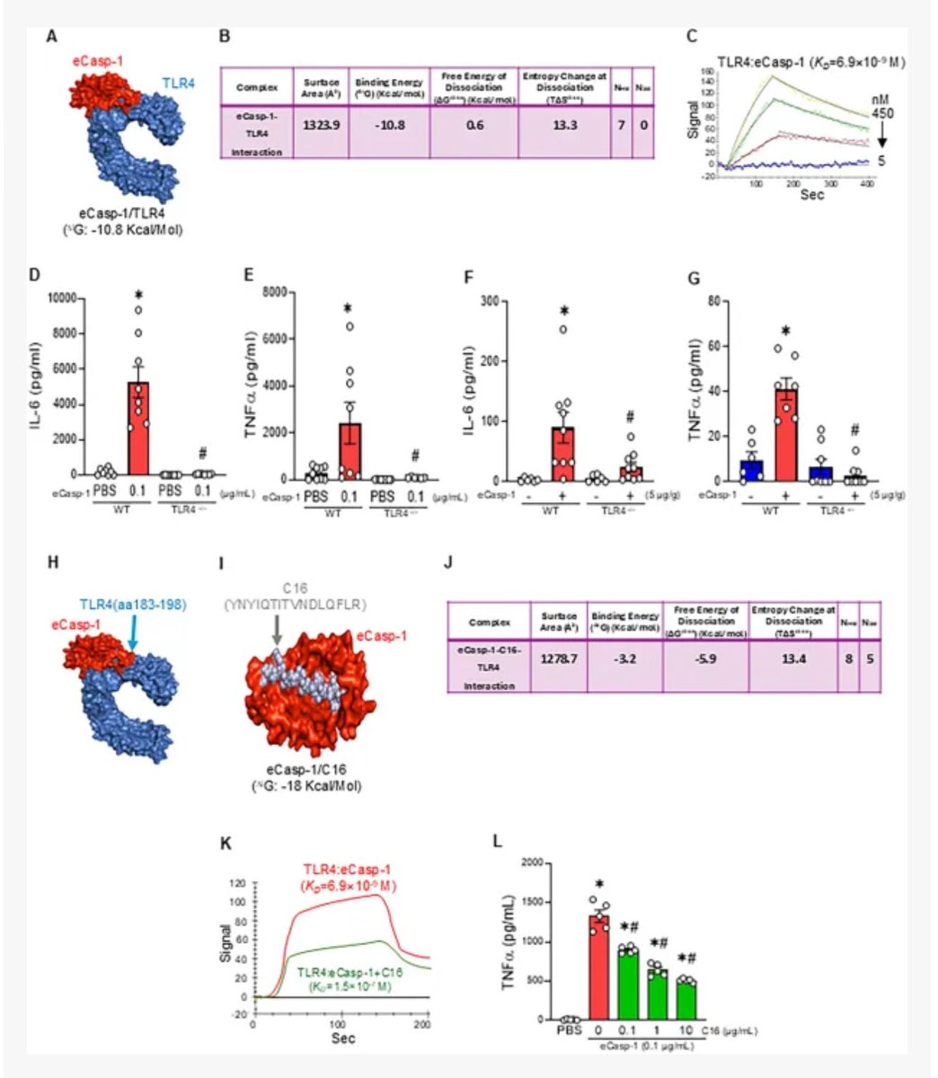 AlokGene's tweet photo. My recent publication in Frontiers in Immunology”Extracellular caspase-1: a critical inducer and a therapeutic target of lung injury in gut ischemia-reperfusion” https://t.co/XsqcsfSNSF https://t.co/GgepkeOr3p