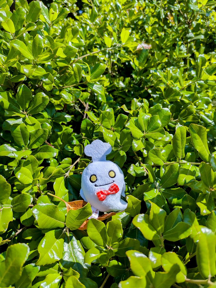 今日はいいお天気ですね

#絵本 #おばけのケーキ屋さん #SAKAE