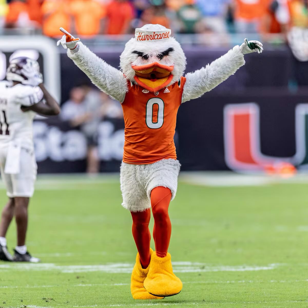 Dominick Harris Payne tweet media