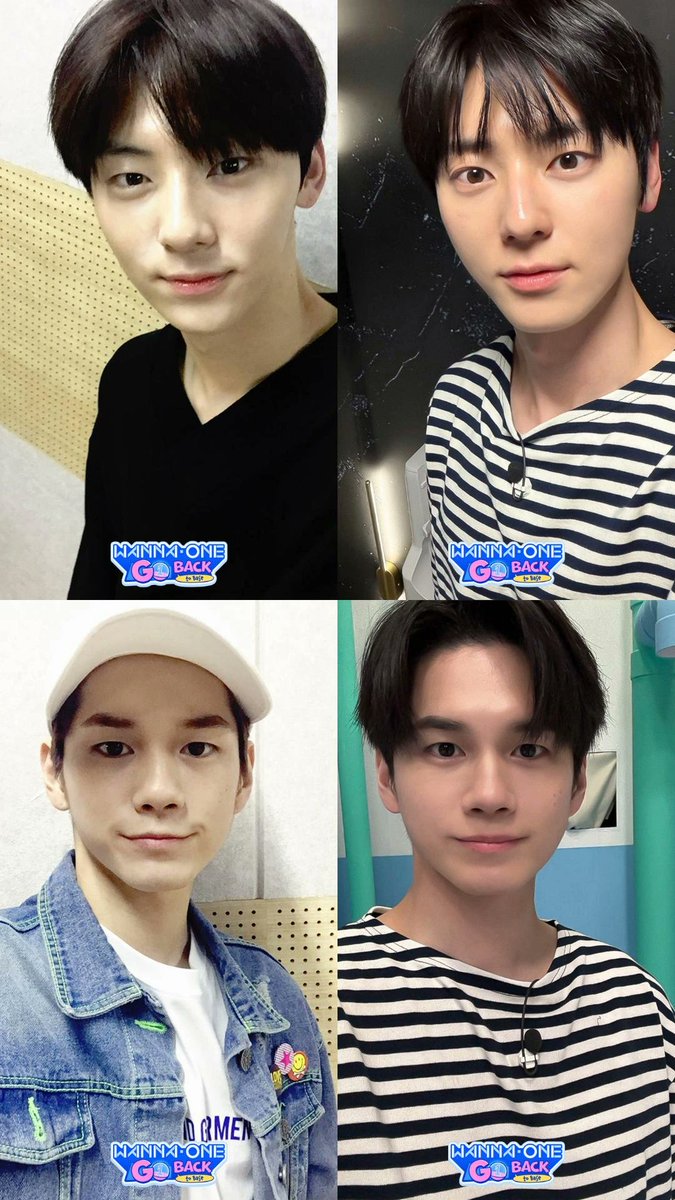 봄바람 tweet media