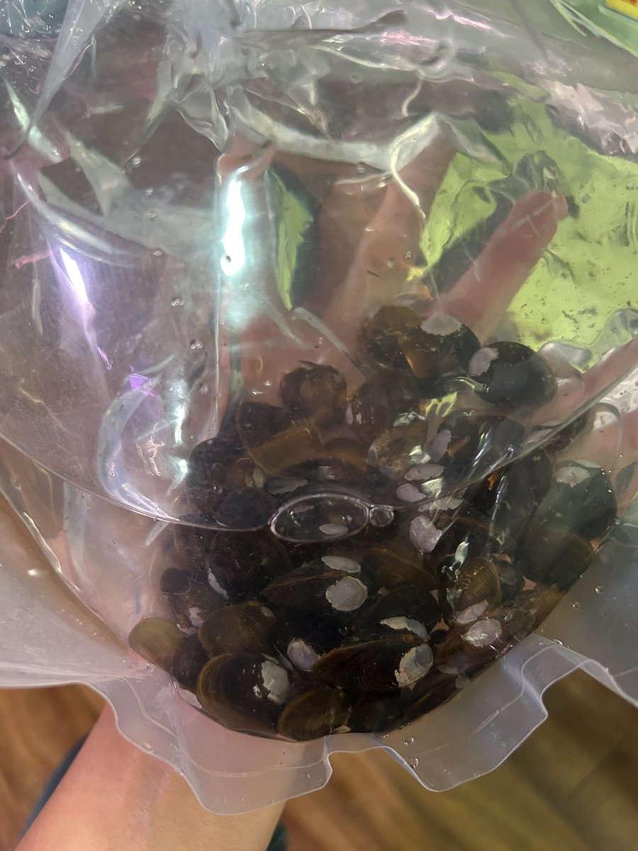 沖縄ビアンコ【公式】 tweet media