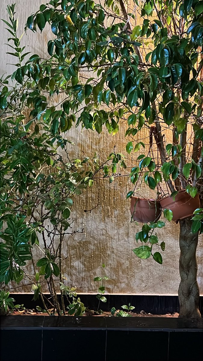 منيرة tweet media