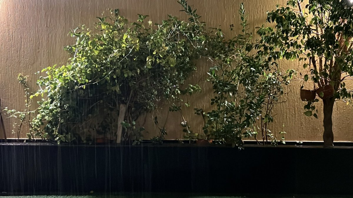 منيرة tweet media