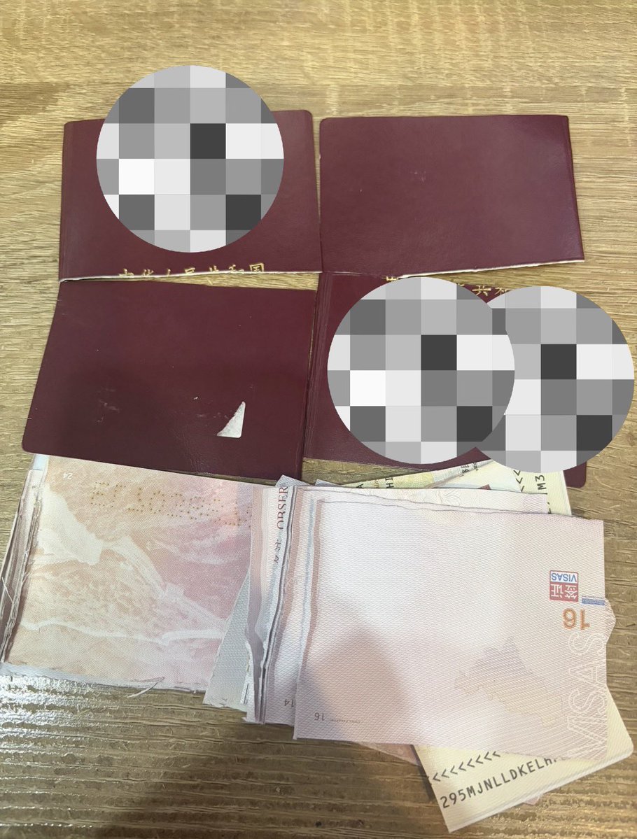 のらいぬ tweet media