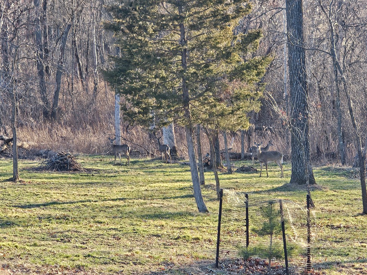 SeymoreSR tweet media