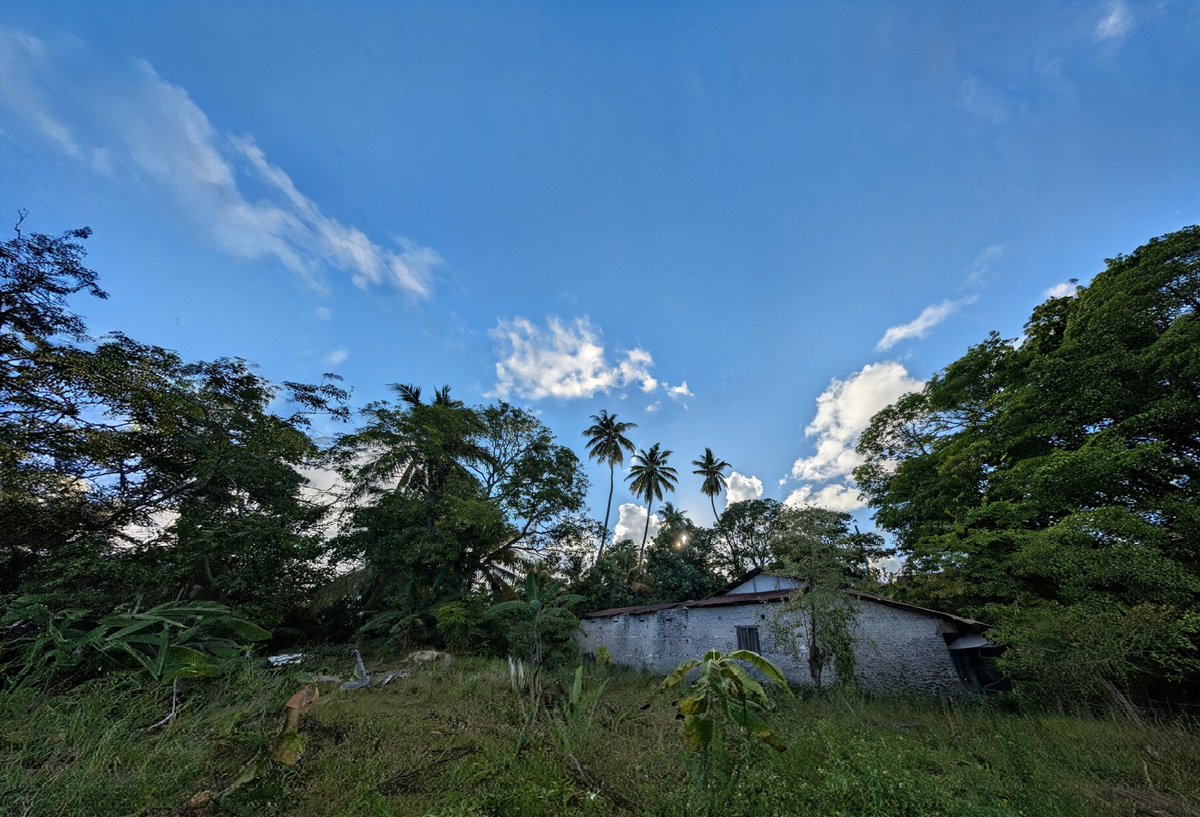 Ahmed Zahid tweet media