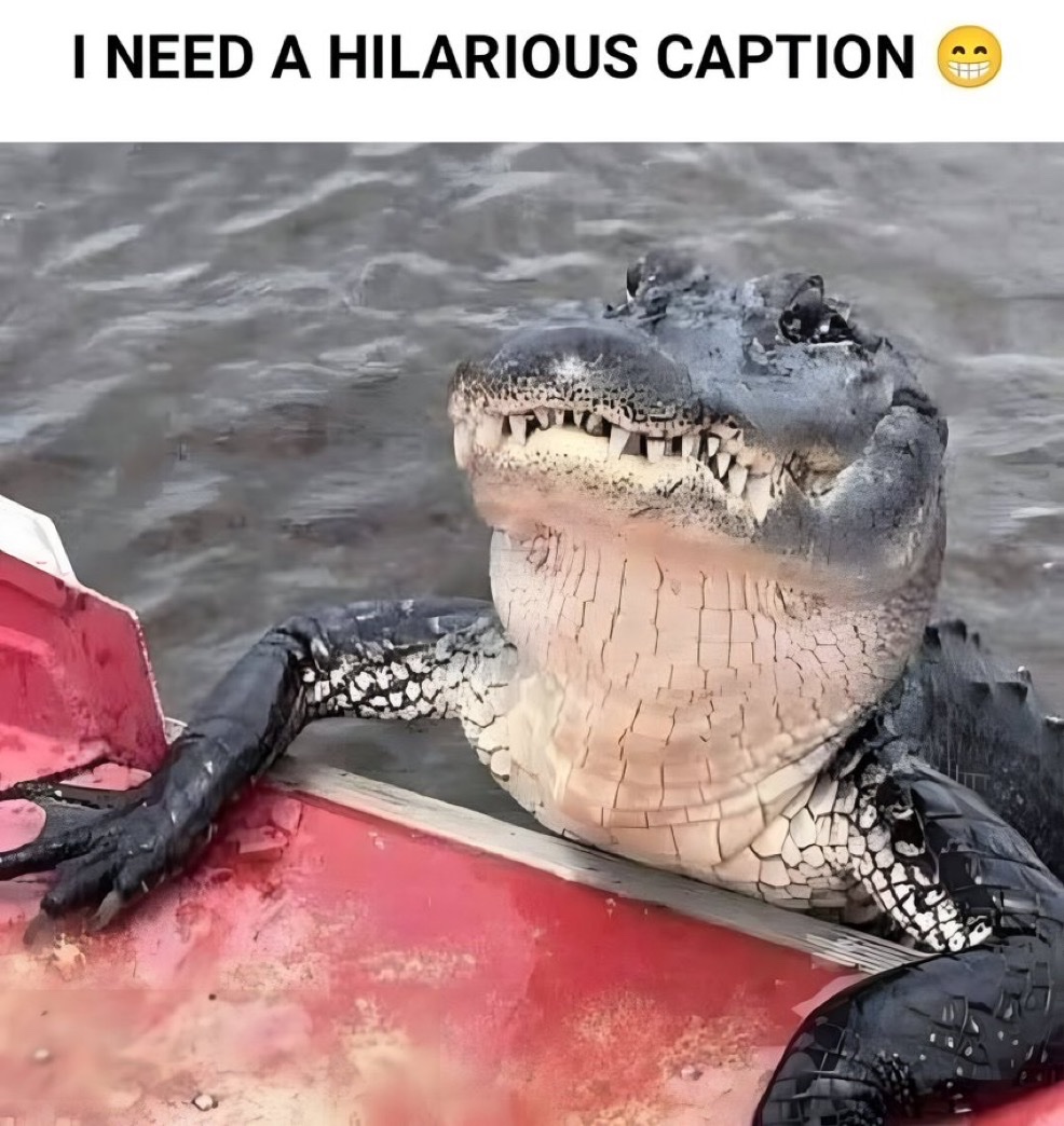 Honey 🛼 tweet media