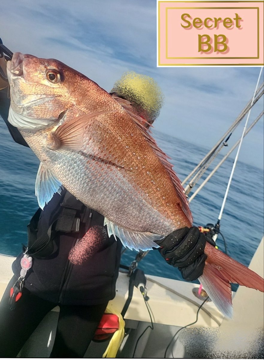 Secret BB tweet media