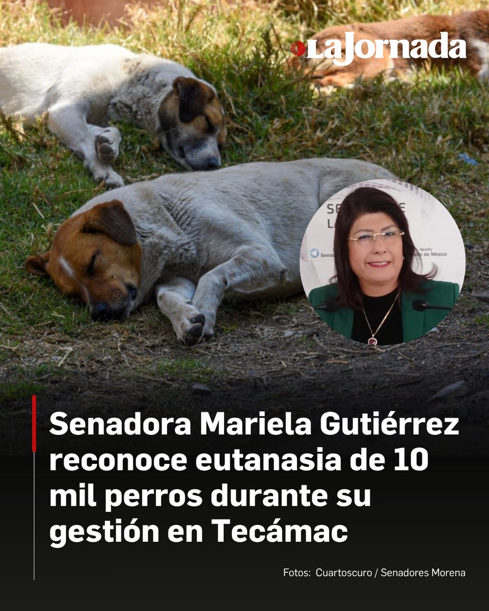 La Jornada tweet media