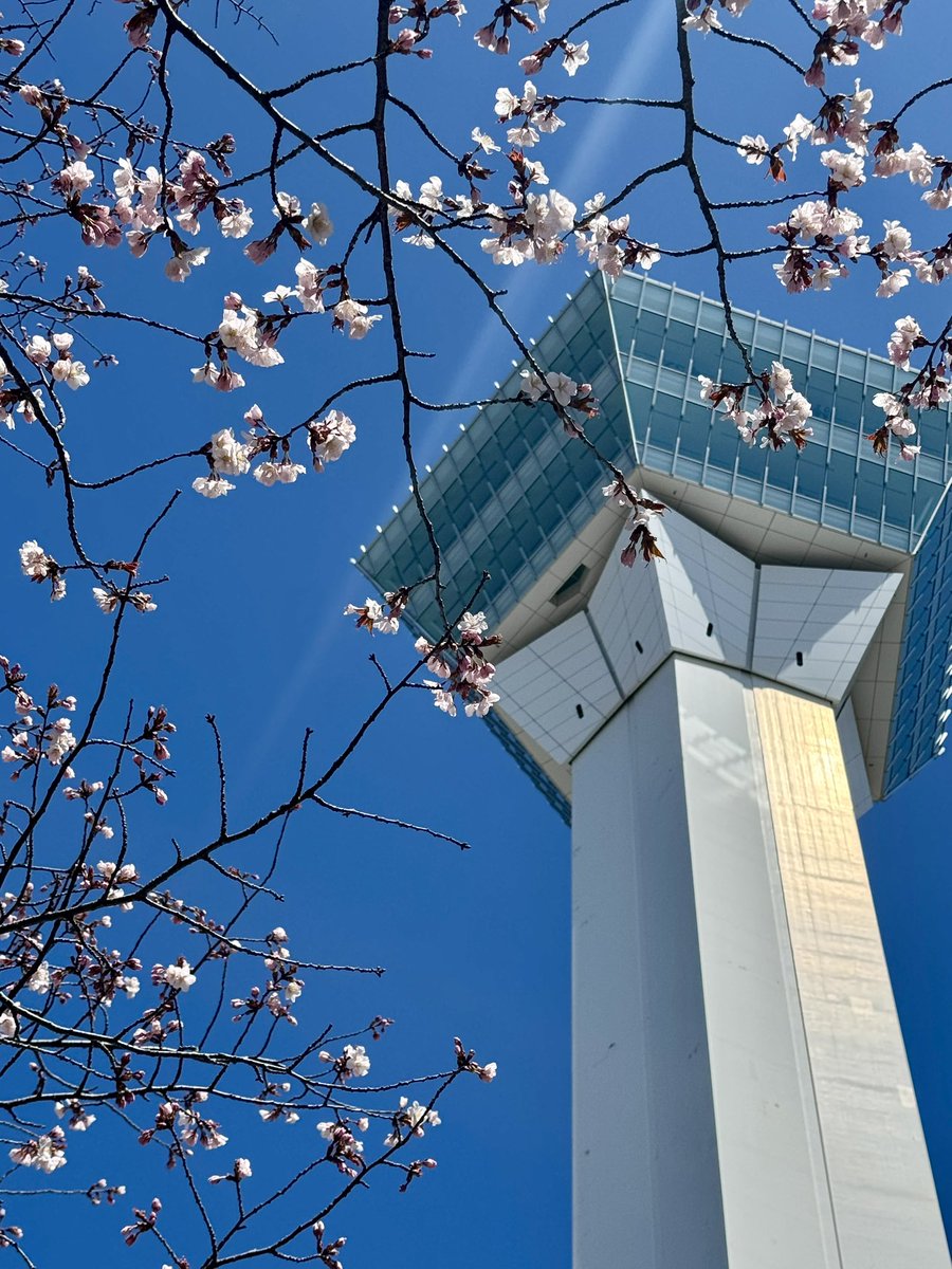 五稜郭タワー販売部【公式】 tweet media