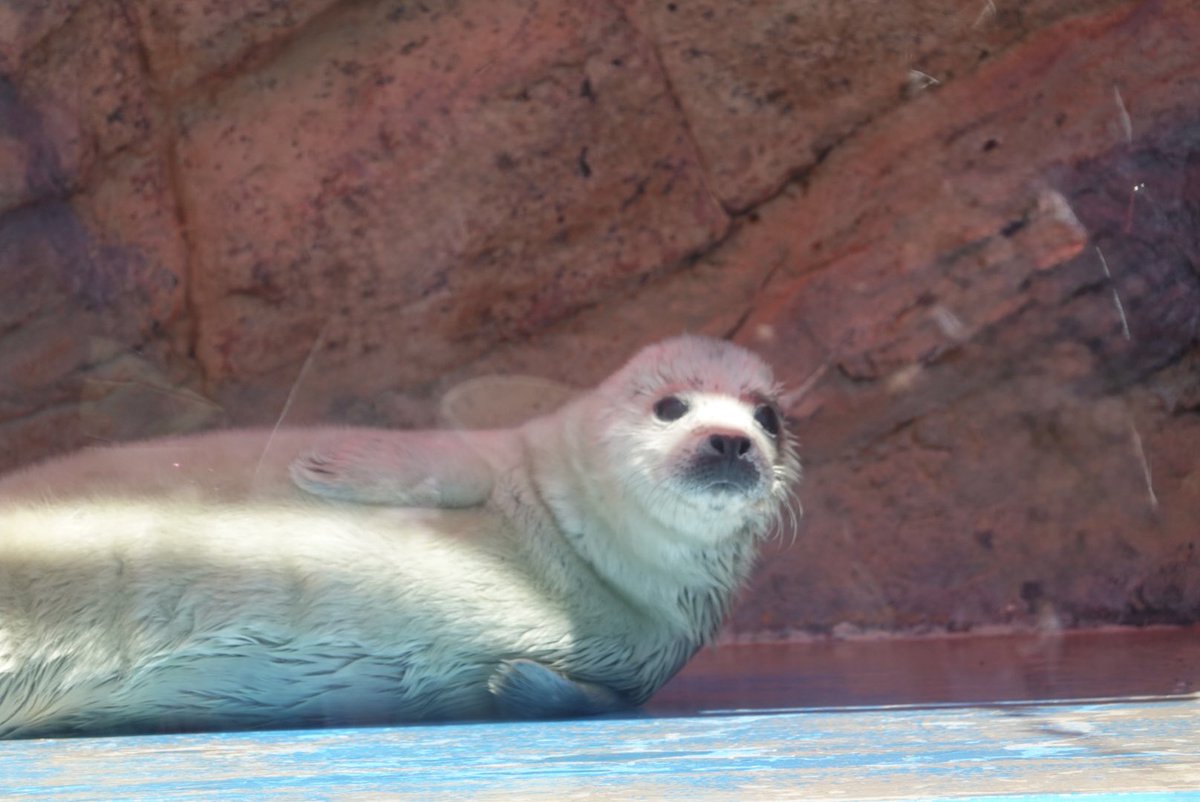 𝕒𝕟 tweet media