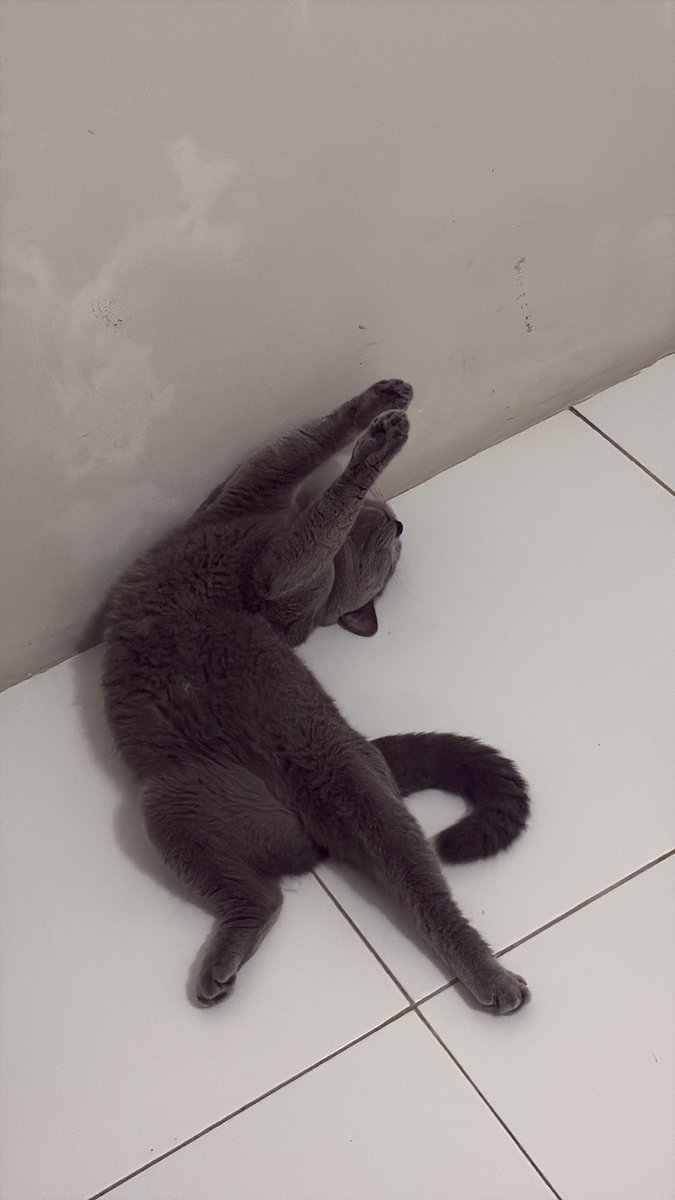 ☁︎ lydiaaa ☁︎ tweet media