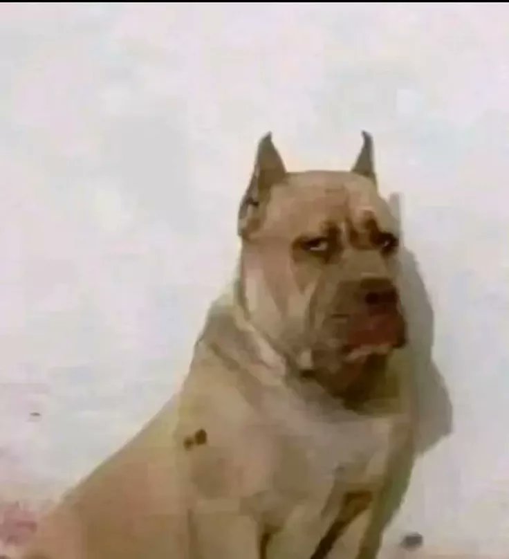 ☥ೄྀ𝕭𝖊𝖑𝖑𝖎𝖓𝖉𝖆ೄྀ✩ ⊙⊝⊜ tweet media