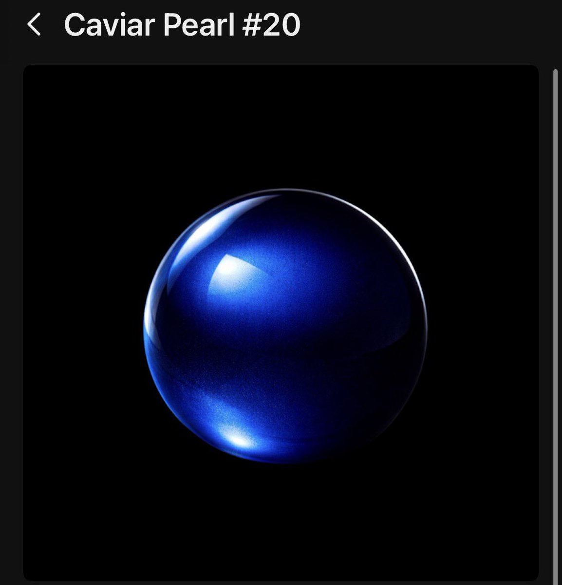 Tommy B. 🇺🇸 tweet media