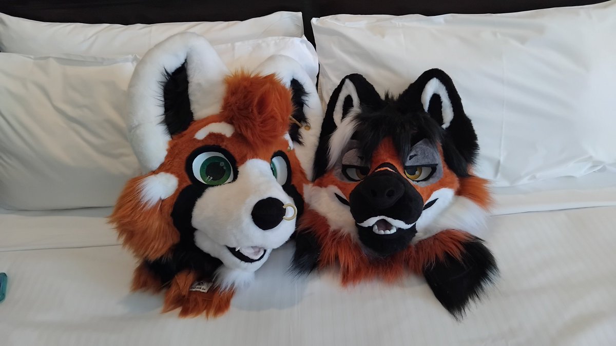 ☆𝙎𝙩𝙚𝙖𝙠☆@FURDU!! tweet media