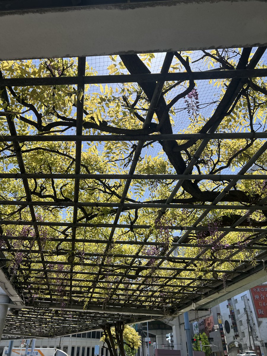 ブサiku☺︎大衆演劇 tweet media