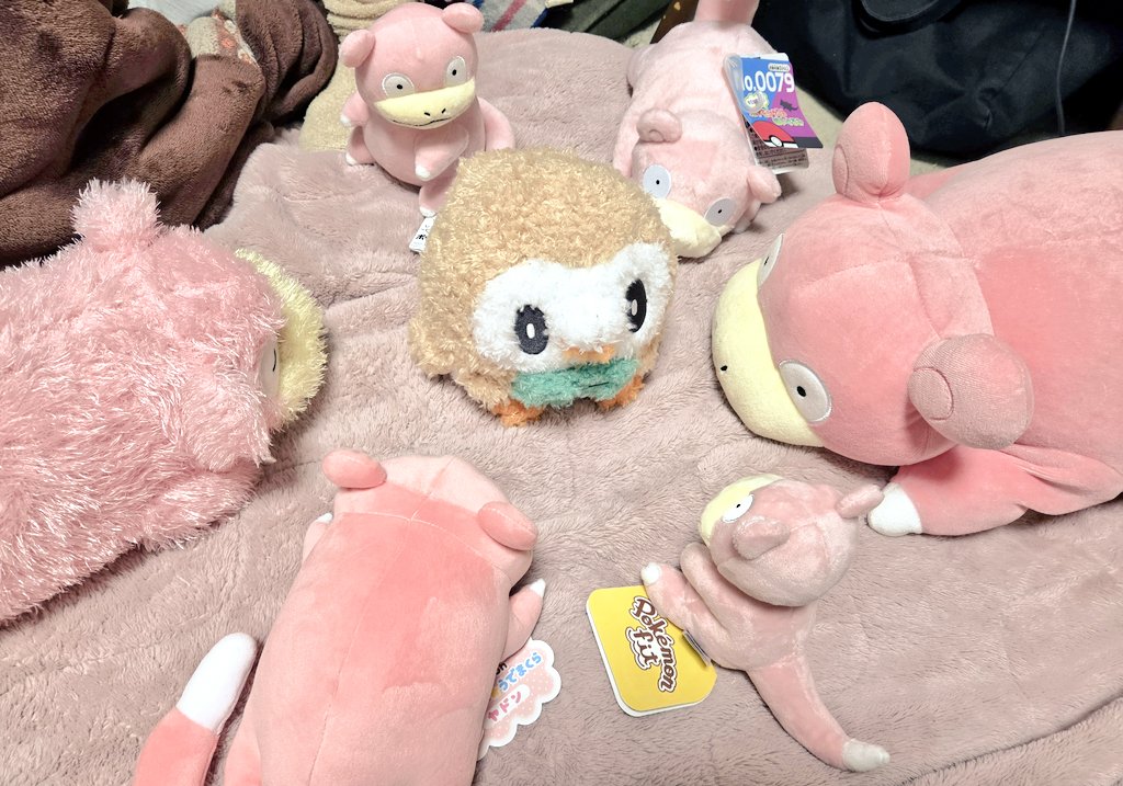 心星紡オル🍫🎮🎨 tweet media