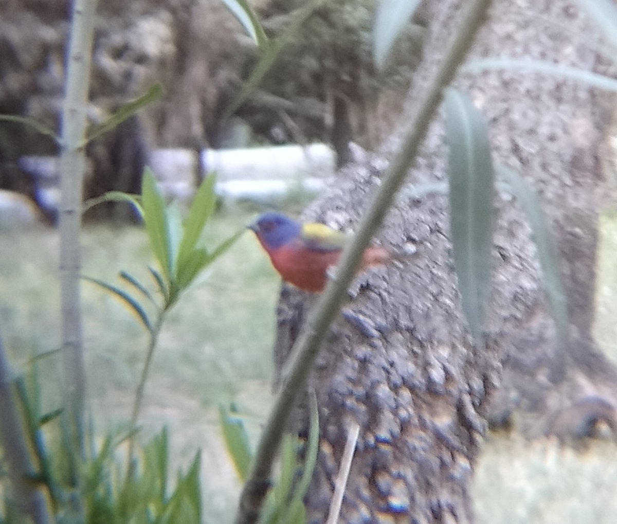 tomg 🐦 tweet media