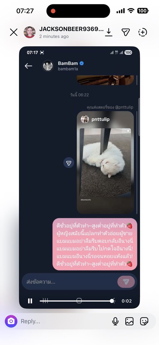 My Tulip ≽^𓏽•༚• ྀི𓏽 ≼ 𐒡 ྀི tweet media