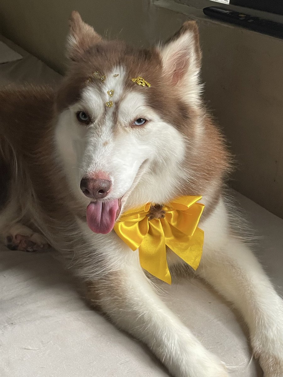 𝑪𝒓𝒊𝒔 tweet media