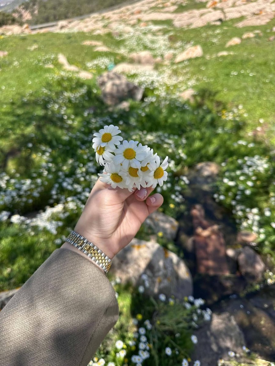 🌹😍🤍هيله او ژوند tweet media