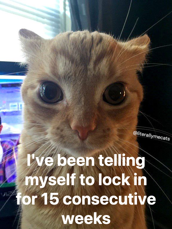 literallymecats's tweet photo. https://t.co/IoTaXOxQdh
