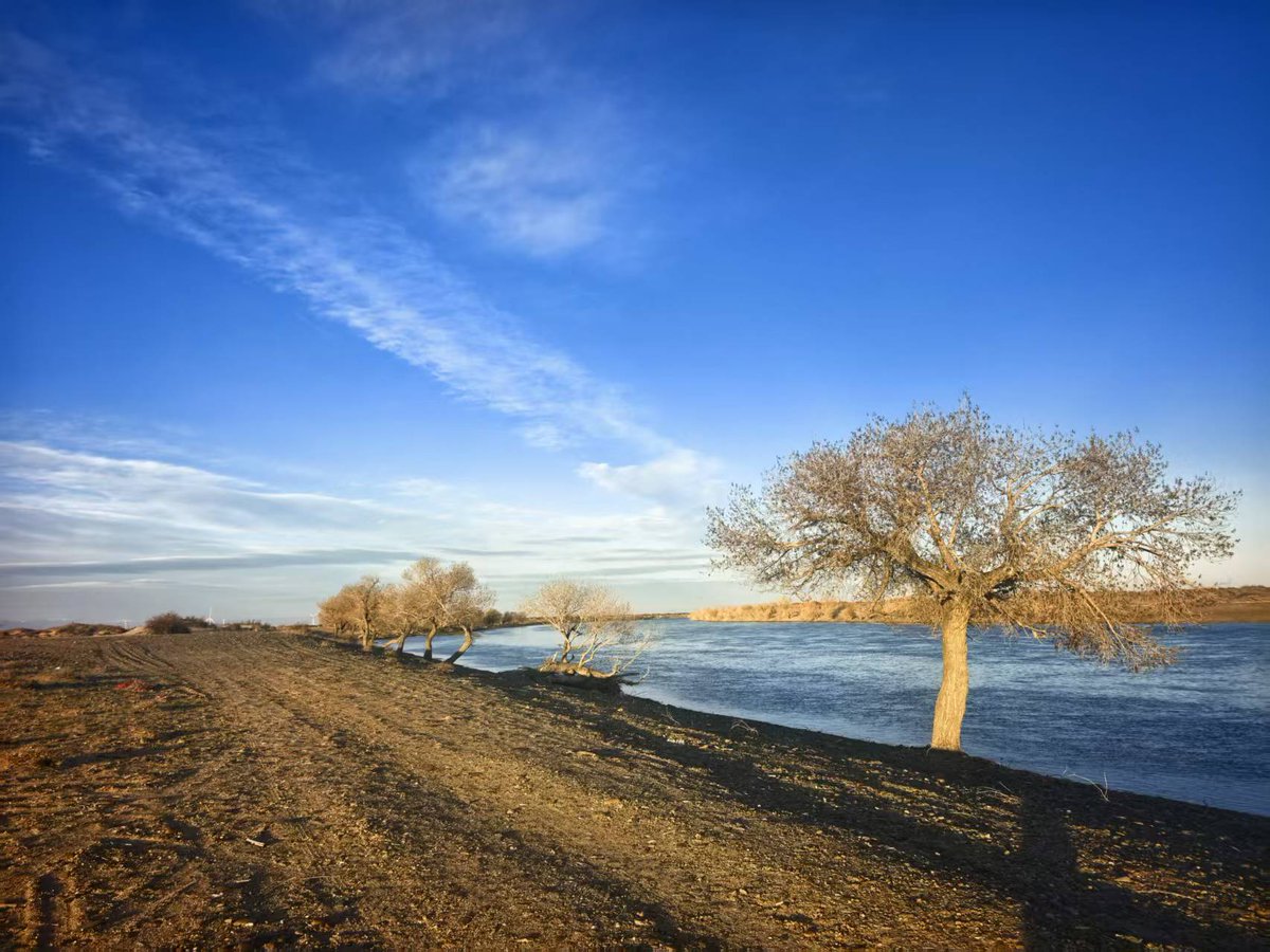 Coco1314 tweet media