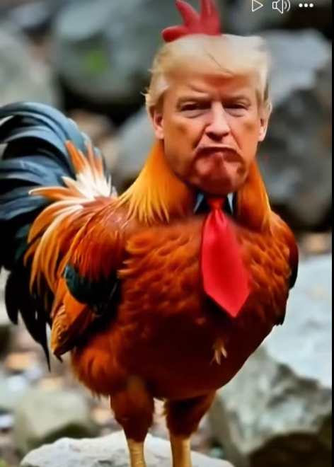 Santi Rivera D. tweet media