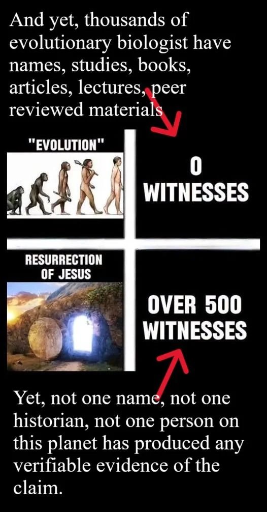 Nicholas Seymour tweet media