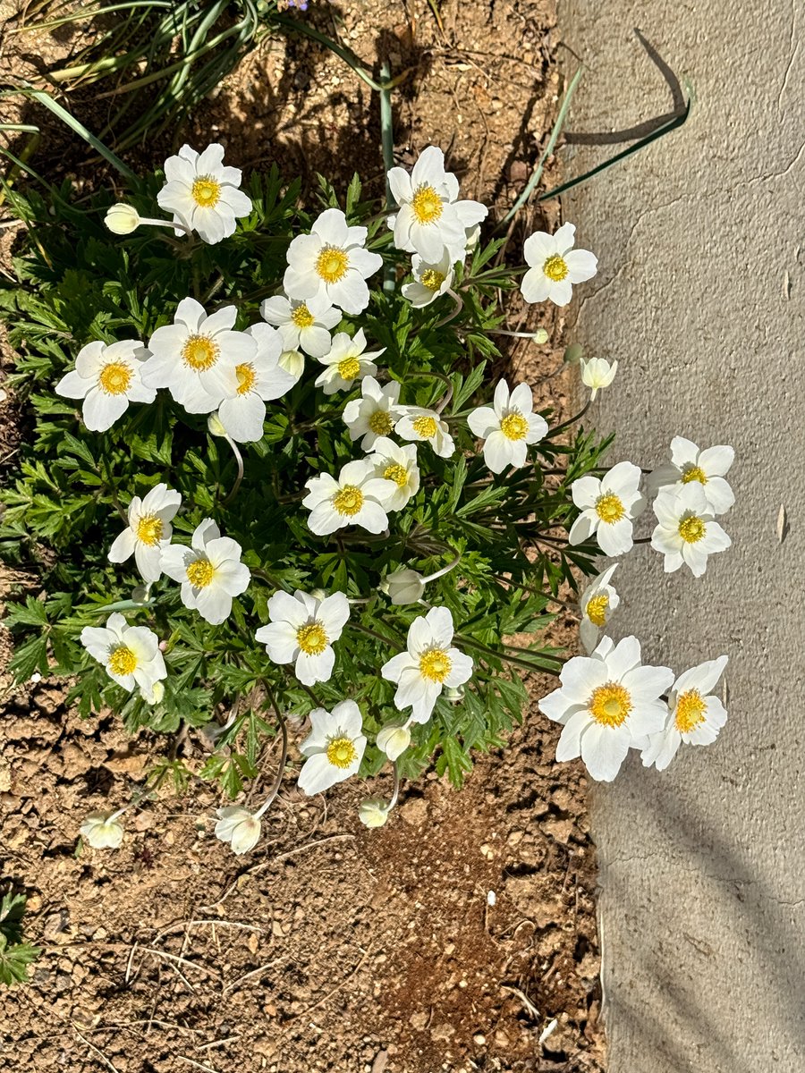 최상도 tweet media